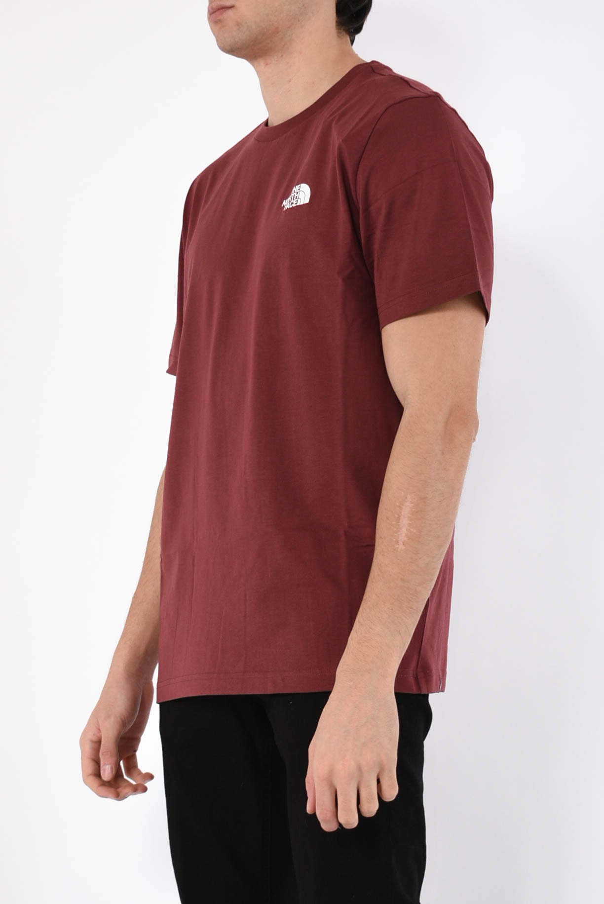 t-shirt in cotone simple dome