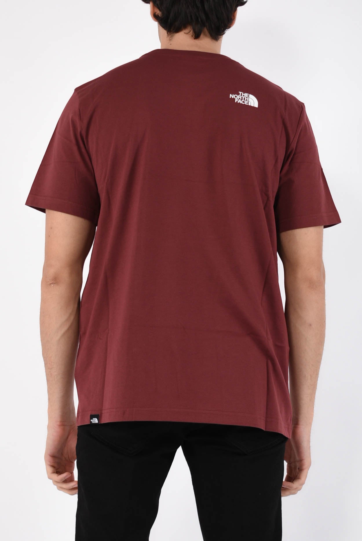 t-shirt in cotone simple dome