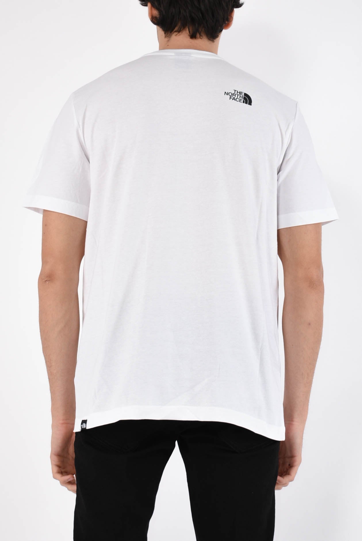 t-shirt in cotone simple dome